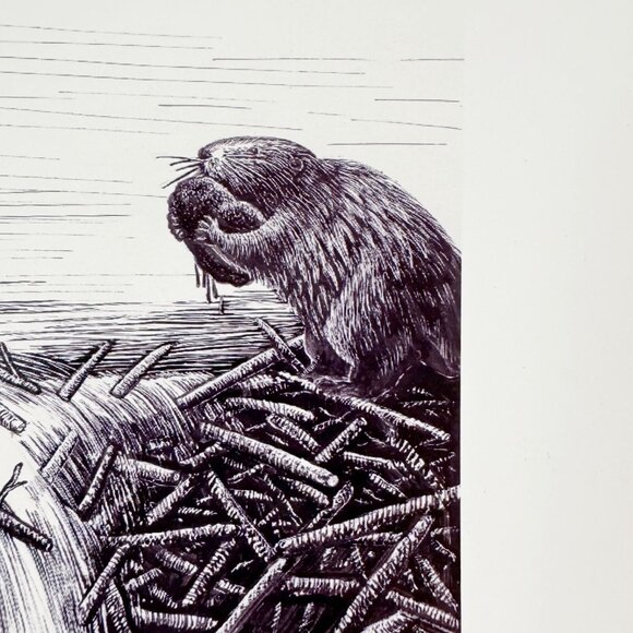 Signed Print Artist Celia Godkin Jack The Story Of A Beaver By Shirley Woods #1 - Picture 5 of 10